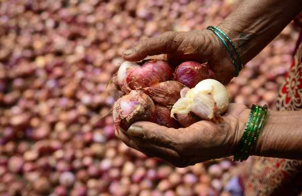 'Superfine' quality onions sold at Rs 180 per kg in Madurai News Image