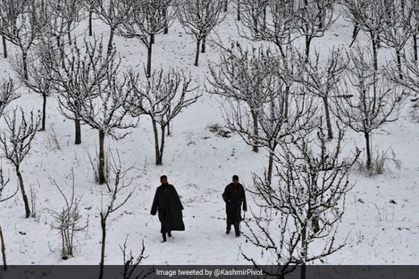 15 Flights Cancelled After Bad Weather Disrupts Flight Operations At Srinagar 15 Flights Cancelled After Bad Weather Disrupts Flight Operations At Srinagar