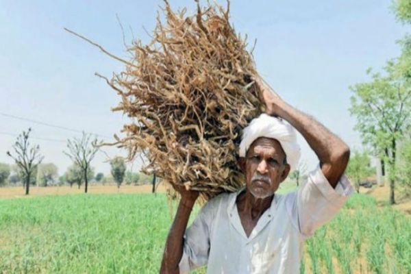 150 MP farmers have committed suicide in 11 months: BJP leader News Image