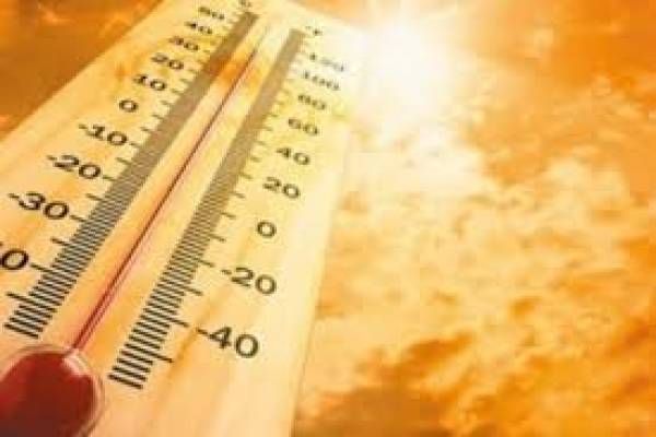 2010-2019 hottest decade in India; 2019 7th warmest year in 119 years 2010-2019 hottest decade in India; 2019 7th warmest year in 119 years