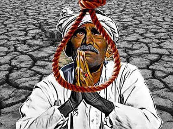 300 Maharashtra farmers killed selves in November 300 Maharashtra farmers killed selves in November
