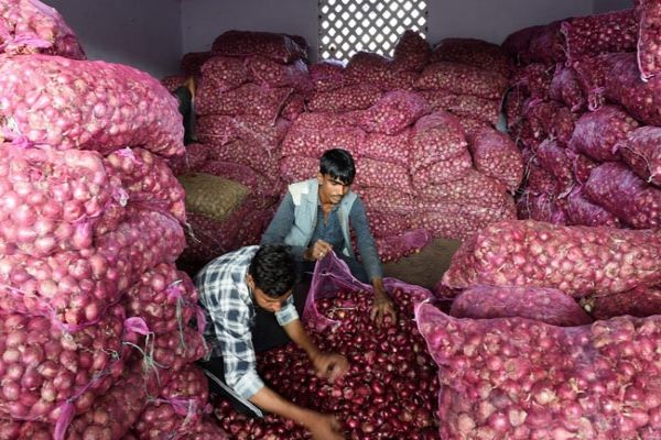 790 Tonnes Of Imported Onion Reach India: Government Official 790 Tonnes Of Imported Onion Reach India: Government Official