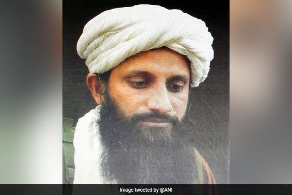 Al-Qaeda's South Asia Chief Killed In Afghanistan: Officials News Image