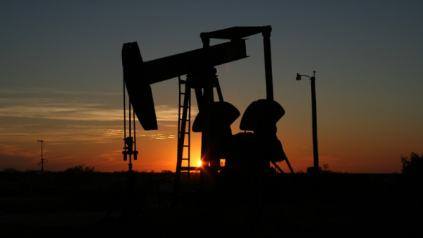 Alphageo bags orders from ONGC, share price locked in upper circuit Alphageo bags orders from ONGC, share price locked in upper circuit