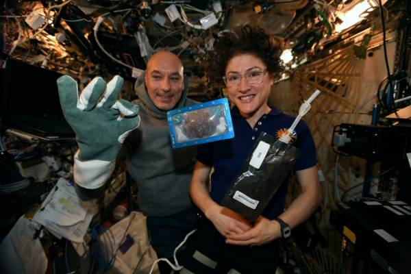Astronauts bake cookies in space for the first time, won't eat them Astronauts bake cookies in space for the first time, won't eat them