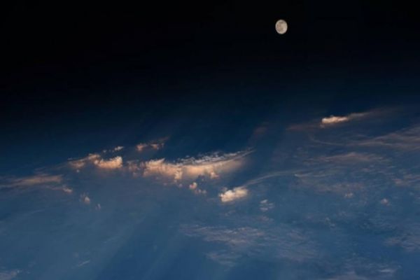 Astronomers discover car-sized moon orbiting Earth, Elon Musk denies involvement Astronomers discover car-sized moon orbiting Earth, Elon Musk denies involvement