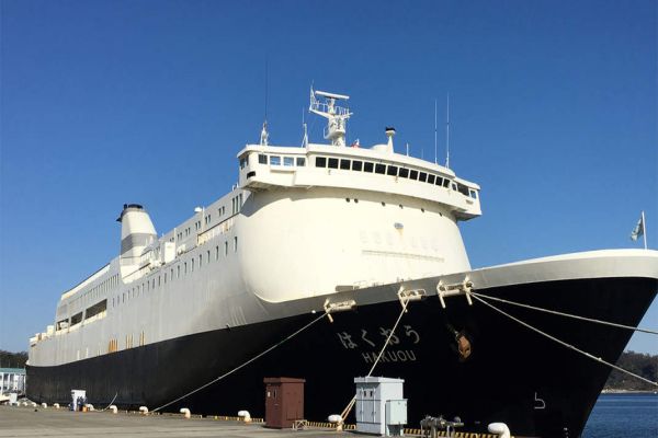 At least 10 on Japan cruise ship have new coronavirus: Minister At least 10 on Japan cruise ship have new coronavirus: Minister
