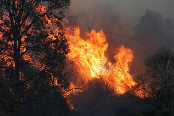 Australia bushfire: 'Megablaze' brought under control Australia bushfire: 'Megablaze' brought under control