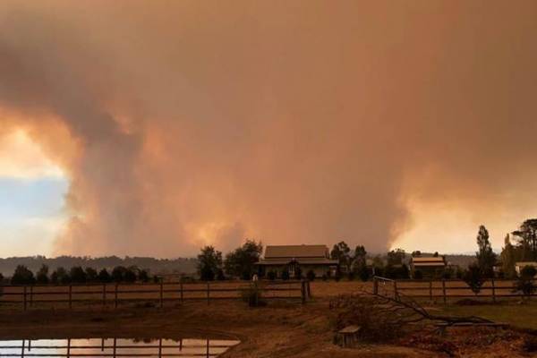 Australia bushfire: Rain offers hope in forest fire fight Australia bushfire: Rain offers hope in forest fire fight