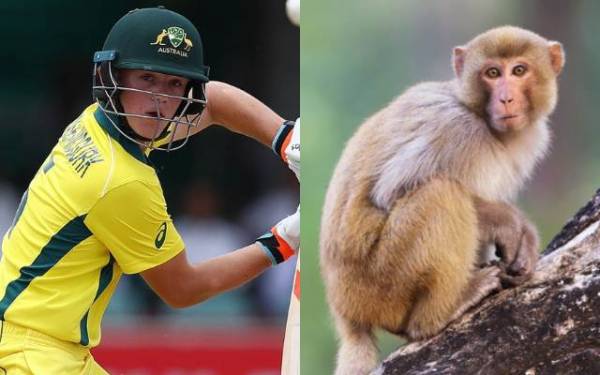 Australia's Jake Fraser-McGurk returns home after monkey scratch Australia's Jake Fraser-McGurk returns home after monkey scratch