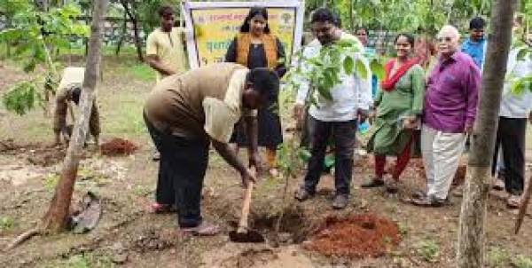 BMC to spend Rs 36 crore to plant nearly 4 lakh trees BMC to spend Rs 36 crore to plant nearly 4 lakh trees