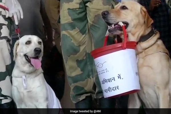 BSF Dog Squad Takes Part In Swachhata Abhiyan In Jammu News Image