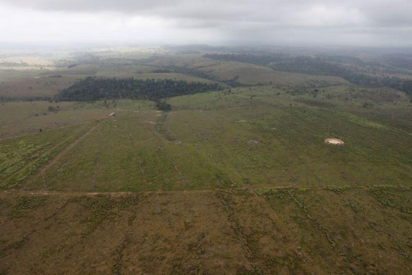 China-Brazil satellite launched into space to monitor Amazon rainforest China-Brazil satellite launched into space to monitor Amazon rainforest