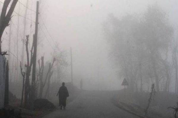 Cold wave conditions intensify in Punjab, Haryana Cold wave conditions intensify in Punjab, Haryana