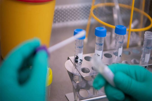 Coronavirus: China reports 1,886 new virus cases, death toll up by 98 Coronavirus: China reports 1,886 new virus cases, death toll up by 98