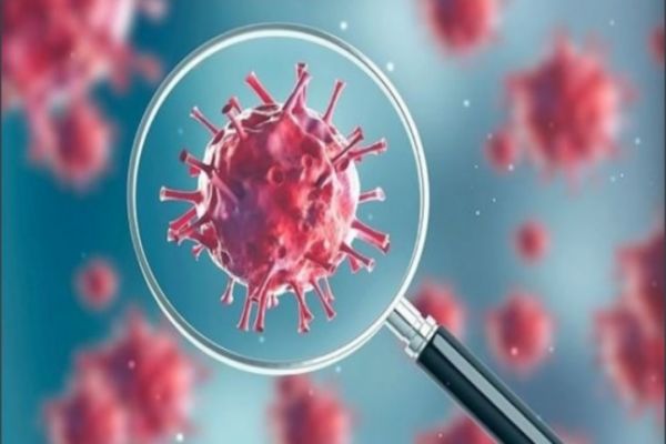 Coronavirus outbreak: Two more cases suspected in Nepal Coronavirus outbreak: Two more cases suspected in Nepal