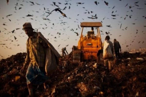 Delhi: In riding city of trash mountains, MCD faces a hurdle Delhi: In riding city of trash mountains, MCD faces a hurdle