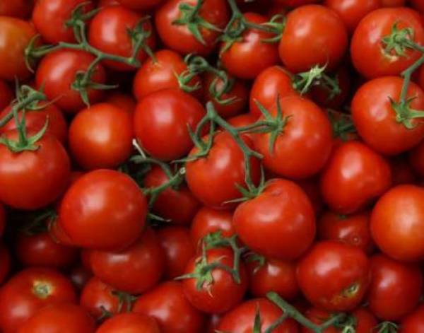Delhi: Tomato prices surge up to Rs 80 per kg Delhi: Tomato prices surge up to Rs 80 per kg