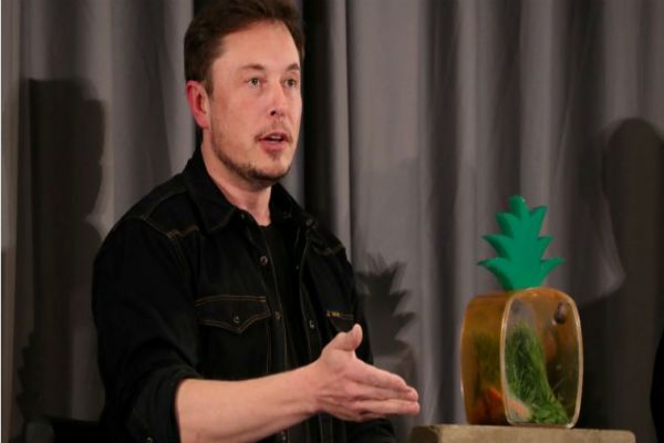 Elon Musk tweets support for Dorsey remaining as Twitter CEO Elon Musk tweets support for Dorsey remaining as Twitter CEO