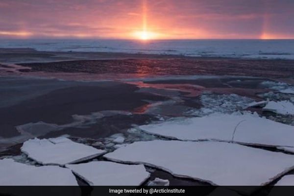 Emergence Of Deadly Virus May Be Linked To Melting Arctic Sea Ice: Study News Image
