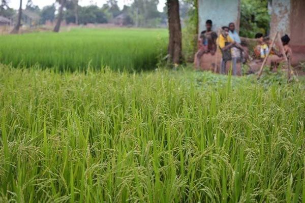 Farm Loans Up To Rs 2 Lakh To Be Waived In Maharashtra: Uddhav Thackeray Farm Loans Up To Rs 2 Lakh To Be Waived In Maharashtra: Uddhav Thackeray