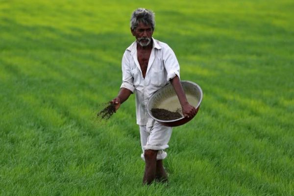 Farmers whose crop loan exceeds Rs 2 lakh ineligible for waiver Farmers whose crop loan exceeds Rs 2 lakh ineligible for waiver
