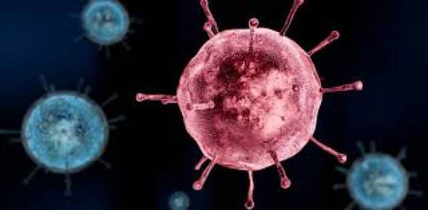First Suspected Case of Coronavirus in Pakistan's Sindh Province First Suspected Case of Coronavirus in Pakistan's Sindh Province