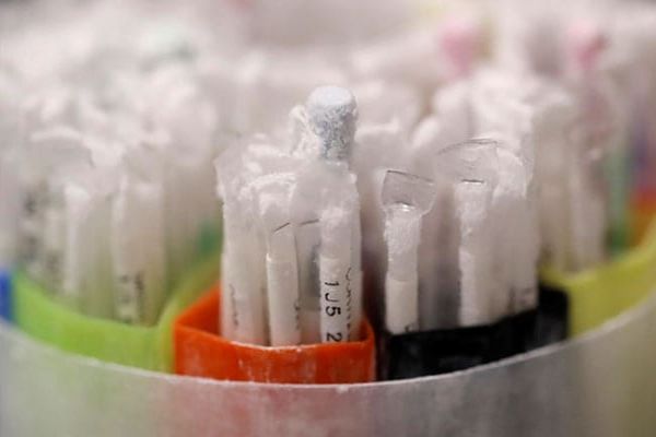 France May Face Sperm Shortage If New IVF Rules Come Into Effect: Report News Image