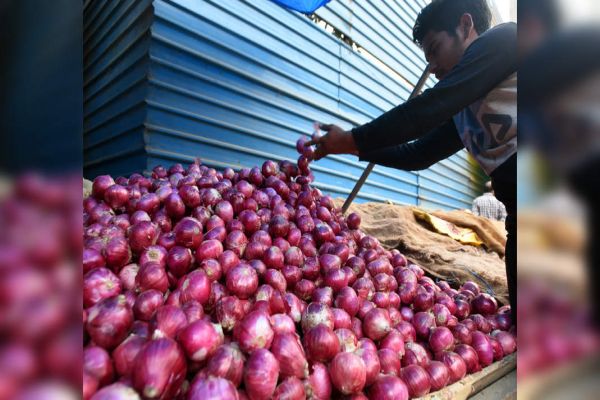 Government orders 42k tonnes of onions, finds takers for 3k tonnes Government orders 42k tonnes of onions, finds takers for 3k tonnes