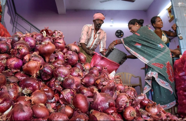 Govt plans to sell imported onion at Rs 22-23/kg Govt plans to sell imported onion at Rs 22-23/kg