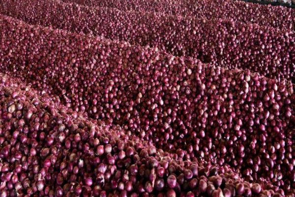 Govt to create 1 lakh tons of onion buffer stock in 2020 Govt to create 1 lakh tons of onion buffer stock in 2020