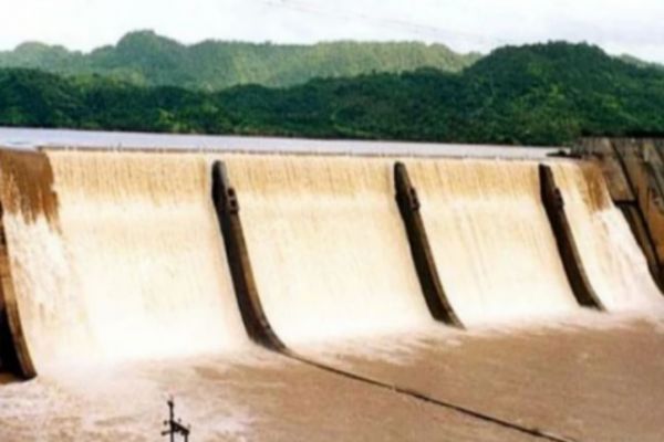 Gujarat rains: Narmada river rises above danger mark, 1000 shifted News Image