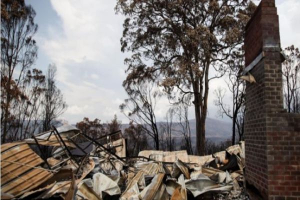 Half of Australians donated to bushfire appeal: survey Half of Australians donated to bushfire appeal: survey