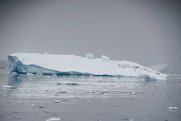 Ice Covering Arctic Ocean Disappearing Faster Than Normal, Say Scientists News Image