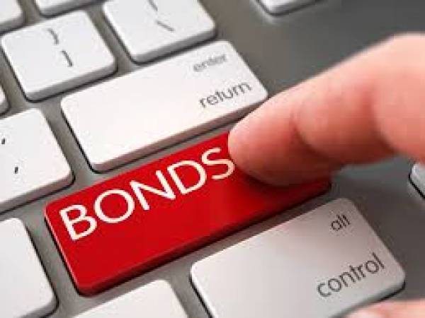 India may issue $5 billion bonds next year with no FPI cap India may issue $5 billion bonds next year with no FPI cap