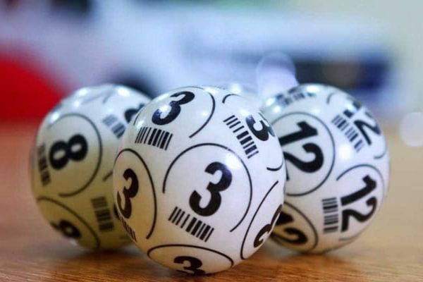 Indian Wins Car, $54,000 In Dubai Raffle After Buying Tickets For A Decade News Image
