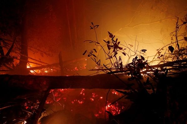 Indonesian Fires Destroyed 1.6 Million Hectares Of Land This Year: Study News Image