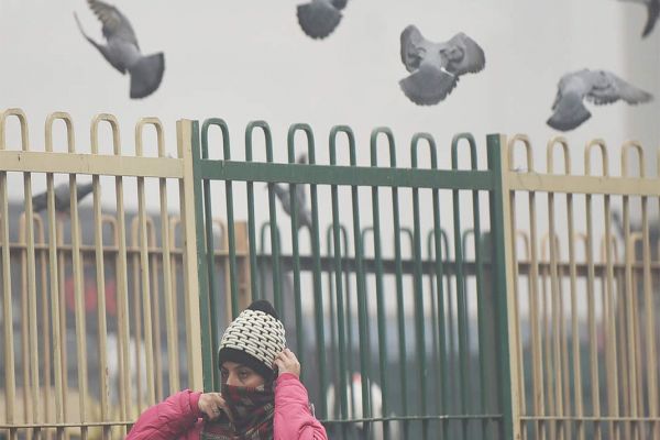Intense cold wave prevails in Punjab, Haryana; Narnaul coldest at 2.3 deg C Intense cold wave prevails in Punjab, Haryana; Narnaul coldest at 2.3 deg C