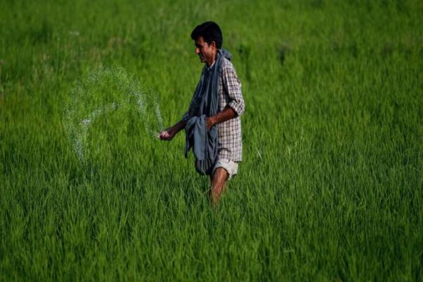 J&K farmers to get Kisan Credit Cards by March 31 J&K farmers to get Kisan Credit Cards by March 31