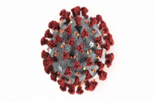 Karnataka govt appeals to public not to believe in rumours on Coronavirus Karnataka govt appeals to public not to believe in rumours on Coronavirus