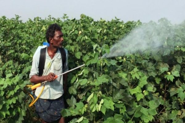 Maharashtra farm activist proposes rights commission for farmers Maharashtra farm activist proposes rights commission for farmers