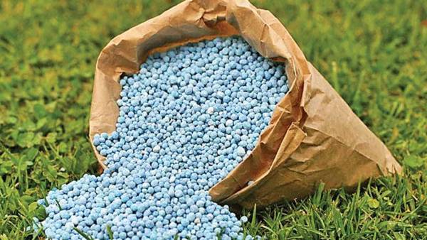 Maharashtra unearths huge fertiliser adulteration scam Maharashtra unearths huge fertiliser adulteration scam
