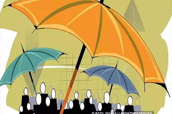 Medium scale companies may be given credit risk cover Medium scale companies may be given credit risk cover