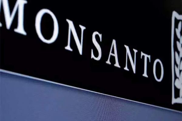 Monsanto seeks time to respond to CCI probe on it abusing dominant position in India News Image