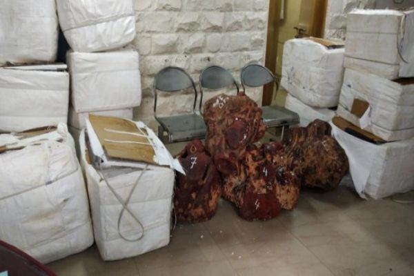 Mumbai Crime Branch busts international racket smuggling red sandalwood News Image