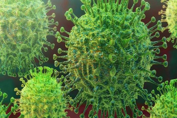 Novel coronavirus a product of natural evolution, not lab made: Study Novel coronavirus a product of natural evolution, not lab made: Study