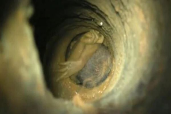 PIL filed on negligence in child's death in Tamil Nadu borewell News Image