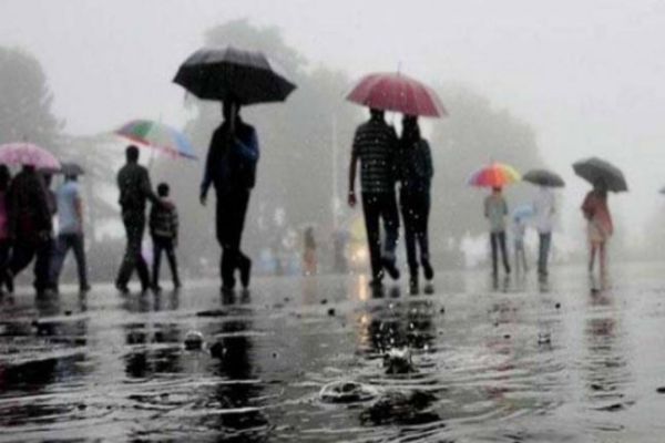 Rain intensifies cold wave in Punjab, Haryana Rain intensifies cold wave in Punjab, Haryana