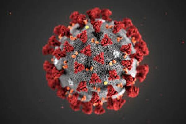 Thailand sees apparent success treating virus with drug cocktail Thailand sees apparent success treating virus with drug cocktail