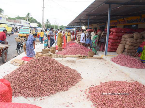 Trade demands opening up of onion exports as prices slide rapidly Trade demands opening up of onion exports as prices slide rapidly